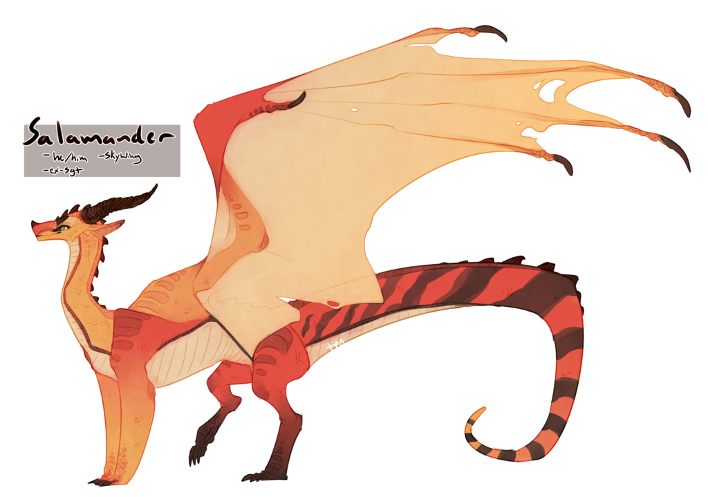 1024x719 Collection Of Free Salamander Drawing Download On Ui Ex