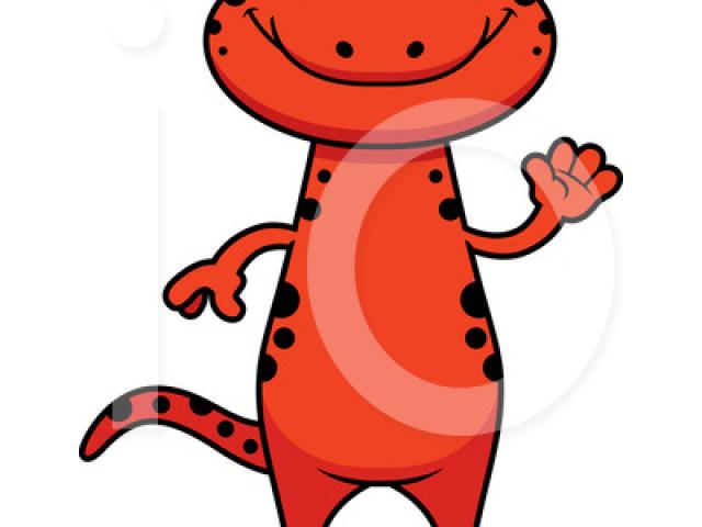 640x480 salamander clipart spotted salamander