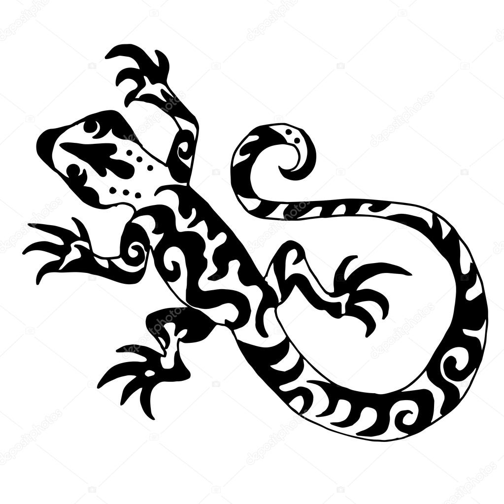 1023x1023 Salamander Drawn