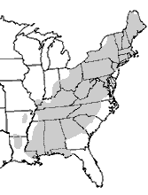 167x220 Species Profile Nothern Spotted Dusky Salamander