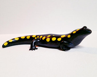 340x270 Spotted Salamander Etsy