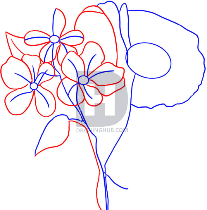 708x720 How To Draw Spring Flowers, Step