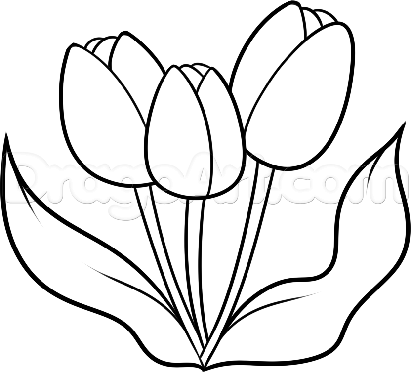 832x753 Drawing Of Spring Flowers Clip Art