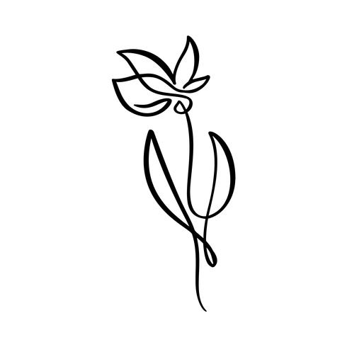 490x490 Continuous Line Hand Drawing Calligraphic Vector Flower Concept