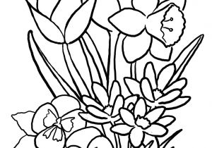 300x210 Drawing Of Spring Flowers Best Draw Flowers Images