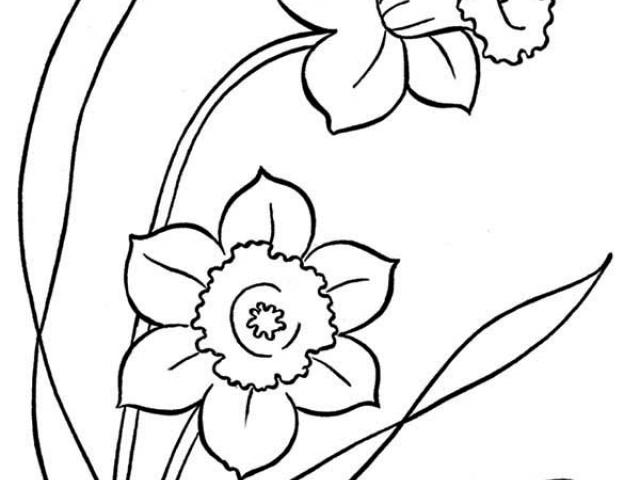 640x480 Drawings Of Spring Flowers Free Download Clip Art
