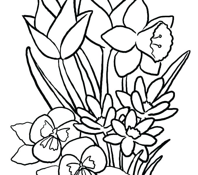 678x600 Flower Coloring Funny Flower Coloring Pages To Print Free Coloring