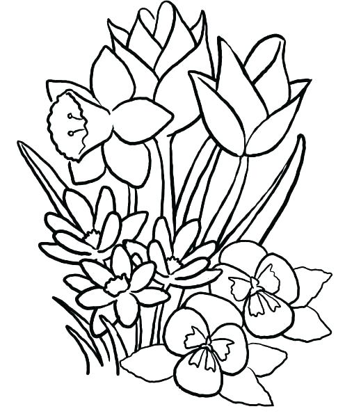 496x601 Flowers Coloring Pages For Kids Spring Flower Coloring Pages