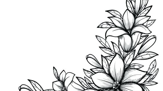 570x320 Flowers How To Draw Step Flowers Drawing Easy With Names
