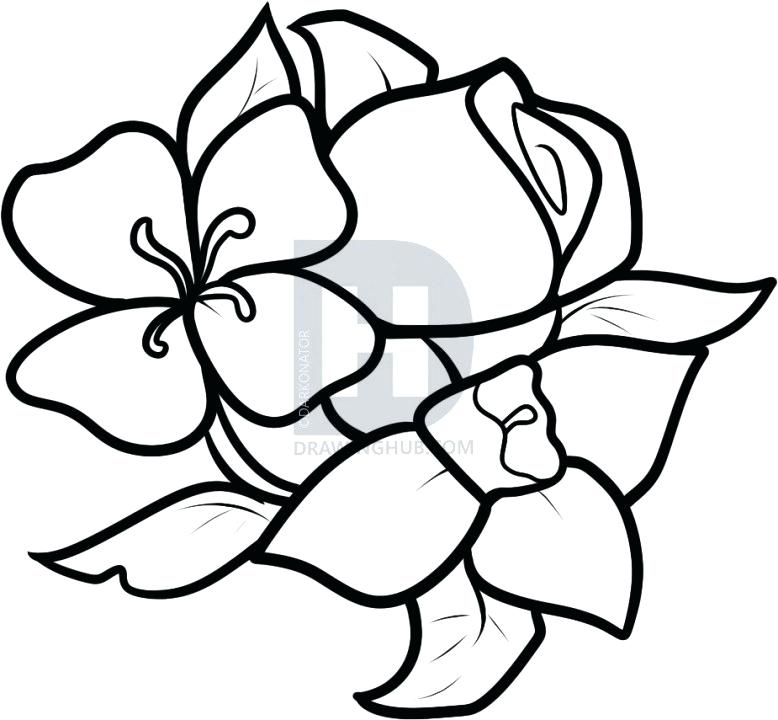 778x720 Flowers You Can Draw Image Titled Draw A Flower Step Flowers
