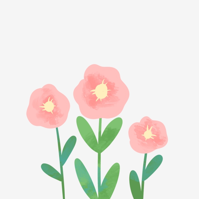 640x640 Hand Drawn Beautiful Pink Flowers, Drawing, Spring, Nature Png