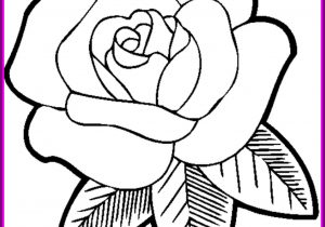 300x210 spring flower drawing drawings of spring flowers drawing artsy