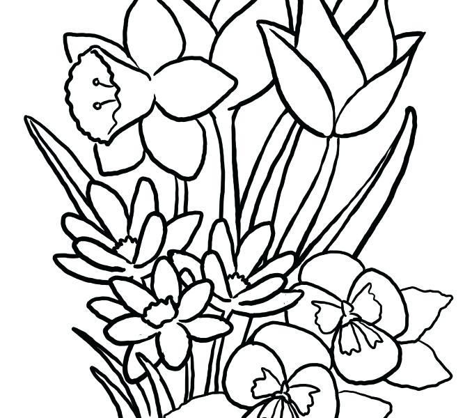 678x600 spring flower drawing for personal use spring flowers coloring