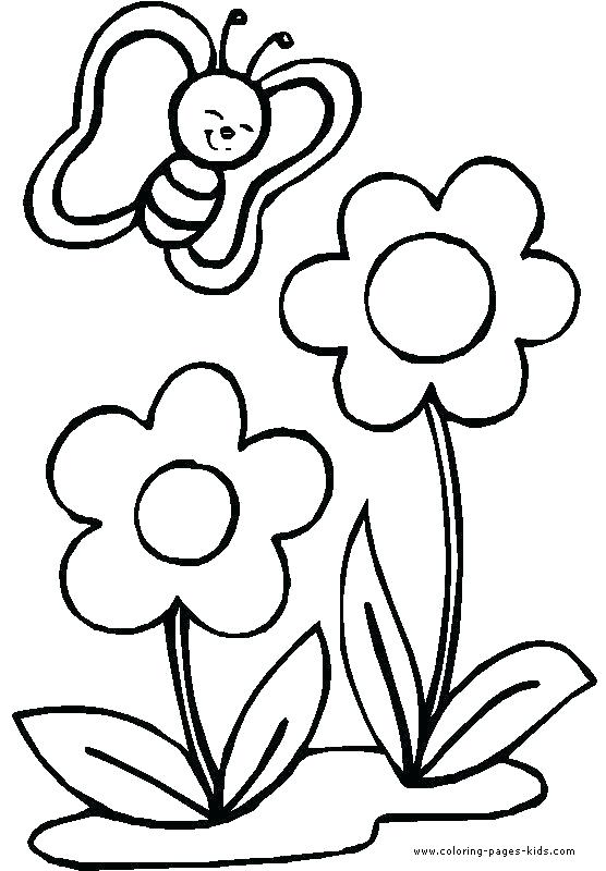 556x800 Spring Flowers Coloring Book Pages Drawing Of A Crocus Spring