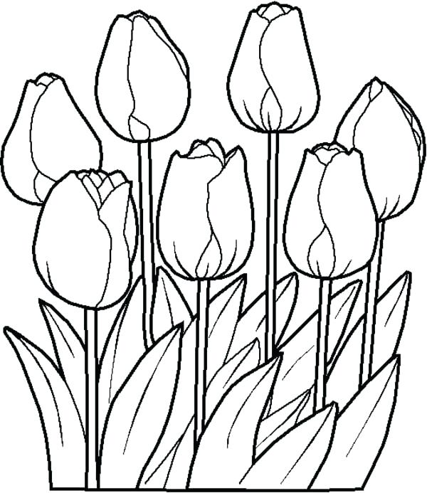 600x693 Spring Flowers Coloring Pages Spring Flowers Printable Coloring