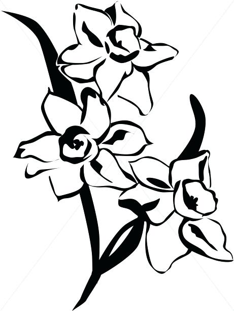 461x612 Spring Flowers Images Black And White Black And White Flower Many