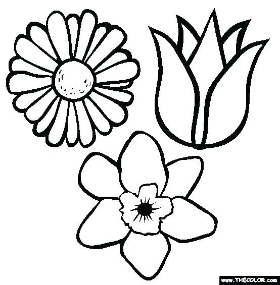 554x565 spring flowers printable coloring pages spring flower color pages