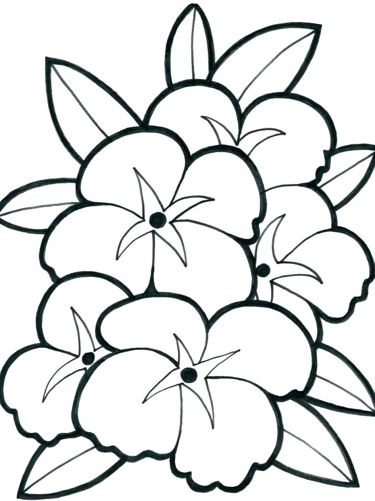 765x1024 Coloring Pages Draw A Rose For Kids Coloring Pages
