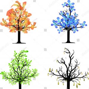 300x300 Free Vector Landscape Drawings Luxury Set Hand Drawn Tree Sketches