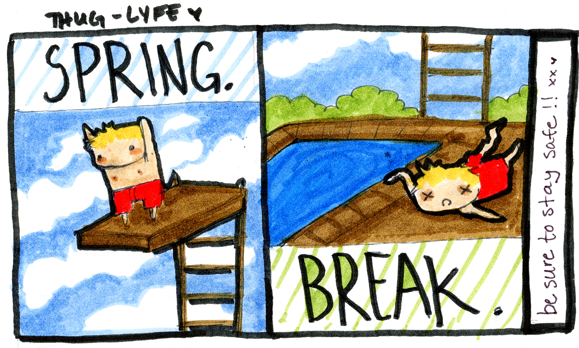 2000x1202 spring break the daily texan