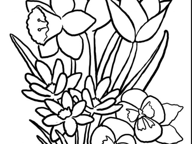 640x480 the images collection of season drawinfo season spring drawing