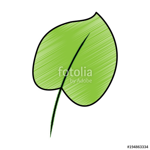 500x500 Tropical Leaf Green Spring Season Eco Nature Vector Illustration