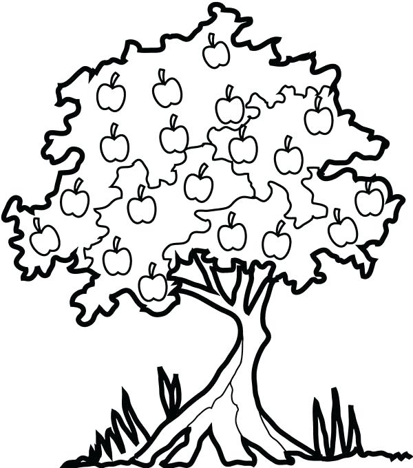 Spring Tree Drawing | Free download on ClipArtMag