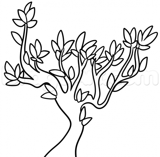 520x511 Learn How To Draw A Spring Tree, Trees, Pop Culture, Free Step