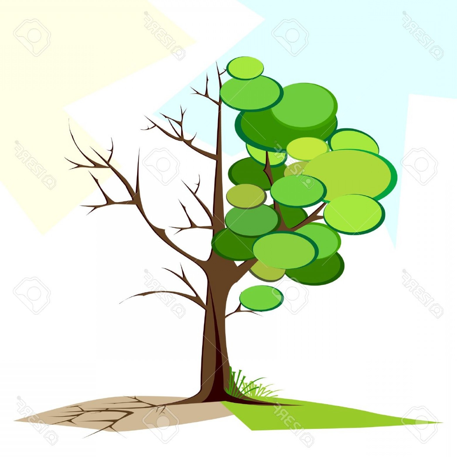 1560x1560 Photoillustration Of Tree Half Full Of Green Leaf And Half Dry