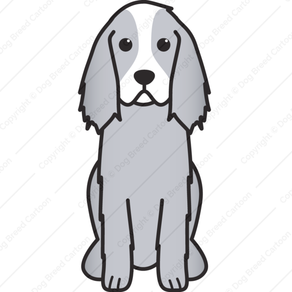 600x600 English Springer Spaniel