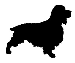 260x220 Puppy, Dog, Transparent Png Image Clipart Free Download