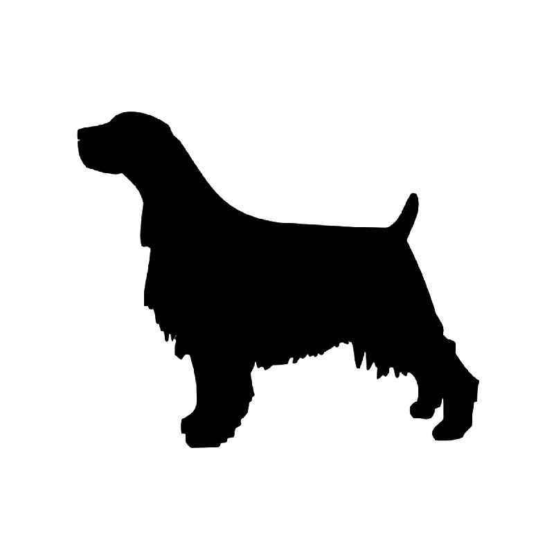 800x800 Springer Spaniel Dog Vinyl Sticker