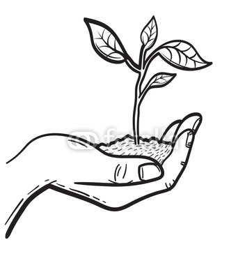 352x400 Human Hand Holding Handful Of Soil With Young Sprout Sketch Icon