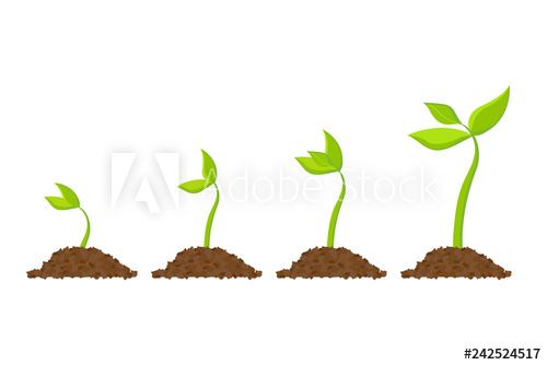 500x334 Simple Sprouting Seed Drawing Sprout, Plant, Tree Growing