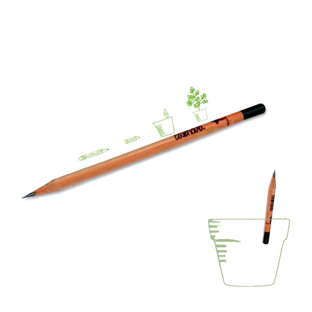 640x640 sprout pencil herb pack novelty wooden drawing plantable