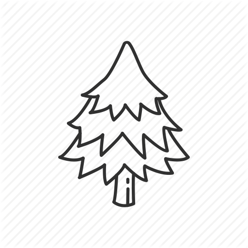 512x512 Pine Drawing Evergreen Tree Transparent Png Clipart Free