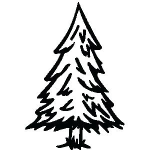 300x300 drawing evergreen trees how to draw and paint evergreen trees my