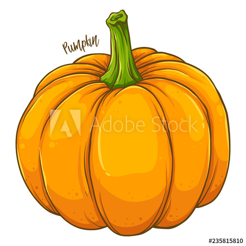 500x500 Pumpkin Vegetable Hand Drawing