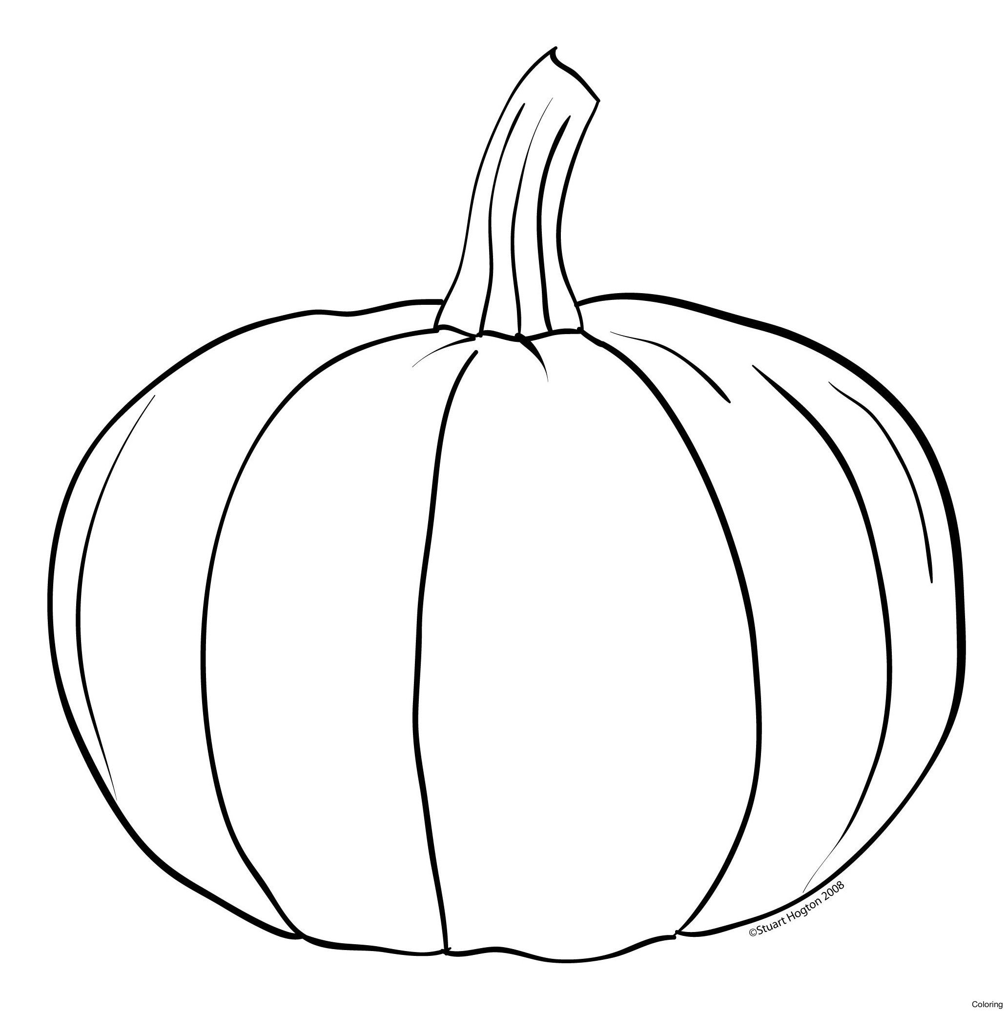 2065x2075 Pumpkin Drawing Squash For Free Download