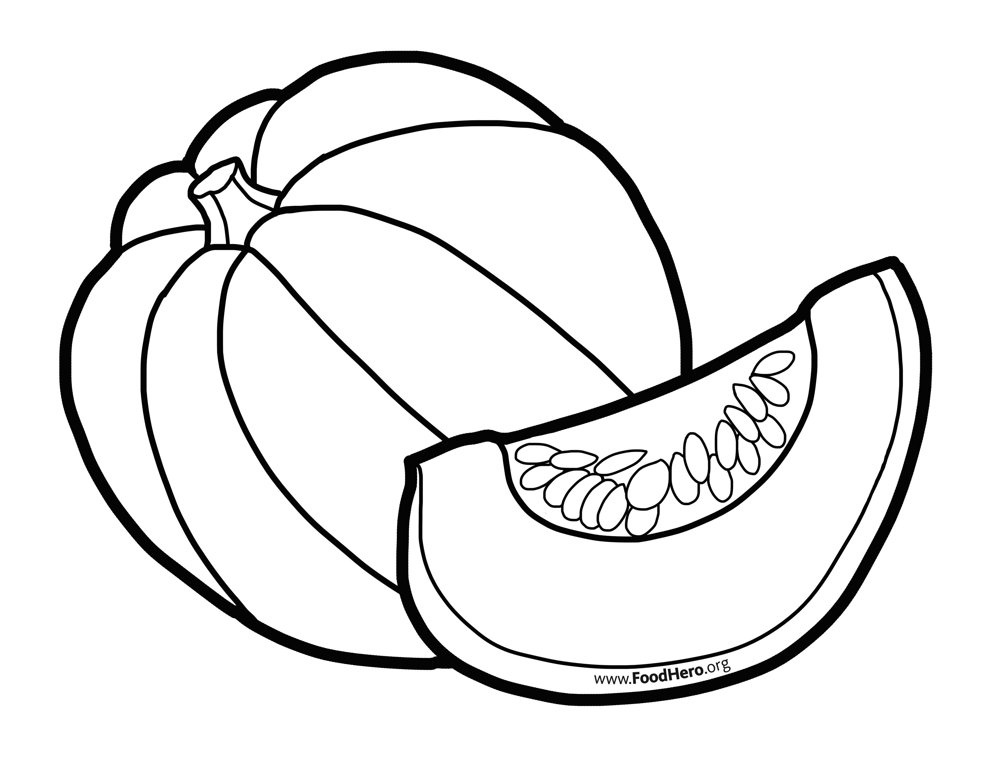 3300x2550 Acorn Squash School Illustration