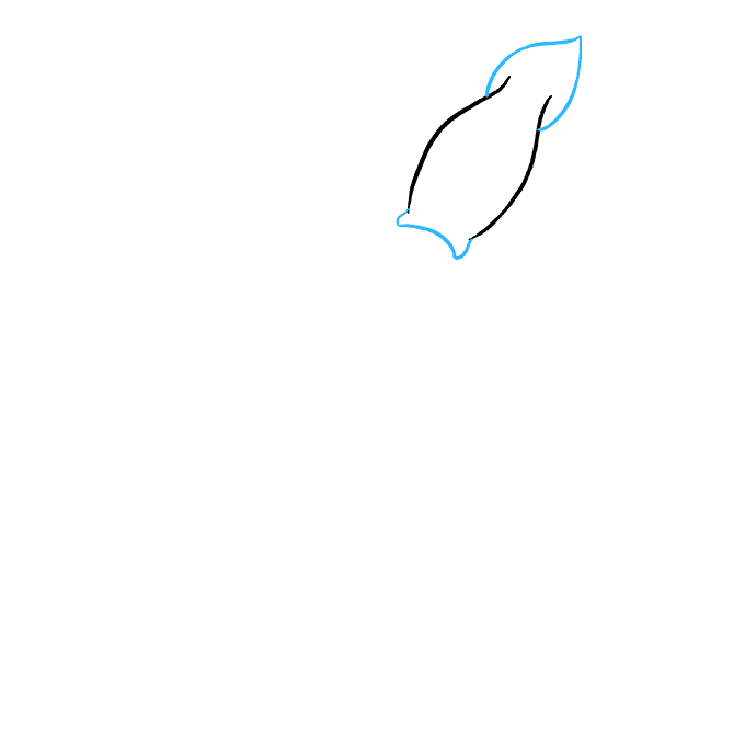 680x678 How To Draw A Squid