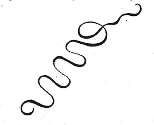 520x423 How To Read A Squiggle Sterne, Hoffmann, Balzac