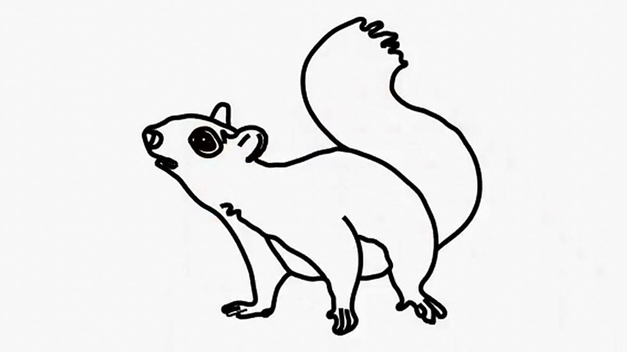 1280x720 How To Draw Squirrel Coloring Pages For Kids Squirrel Drawing
