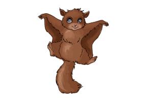 300x200 How To Draw A Flying Squirrel