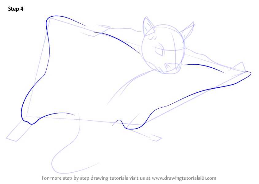 844x598 Learn How To Draw A Northern Flying Squirrel