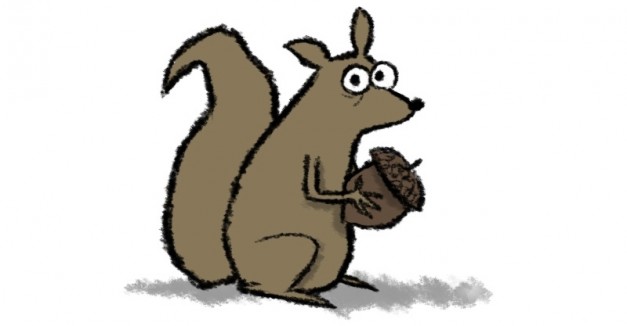 627x326 See That Squirrel Drawing