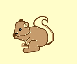 300x250 Squirrel Drawing