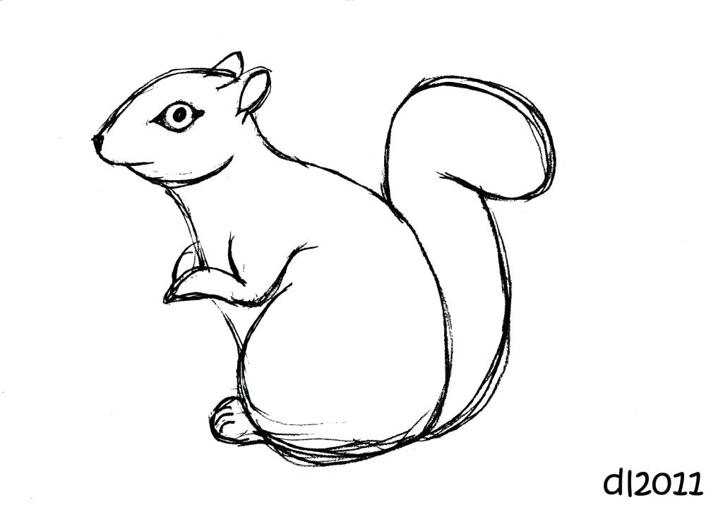 1024x732 Draw A Squirrel Easy