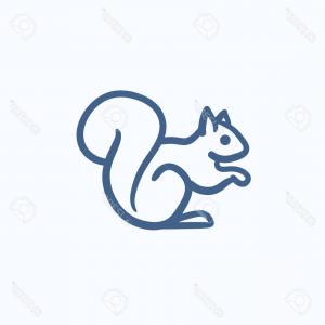 300x300 Cartoon Drawing Of A Squirrel Vector Hoodamathrun