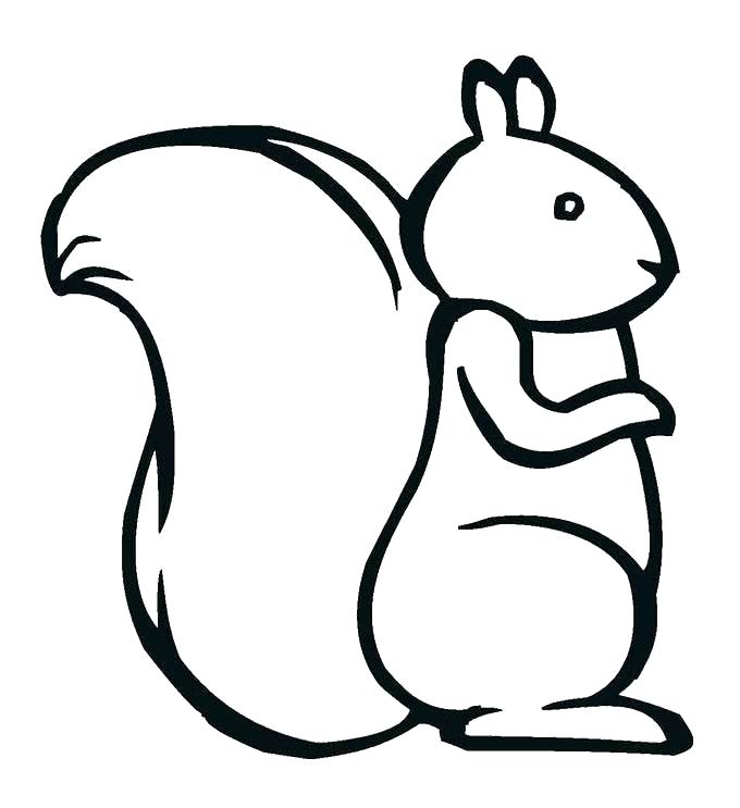 680x743 Easy Squirrel Drawing Step